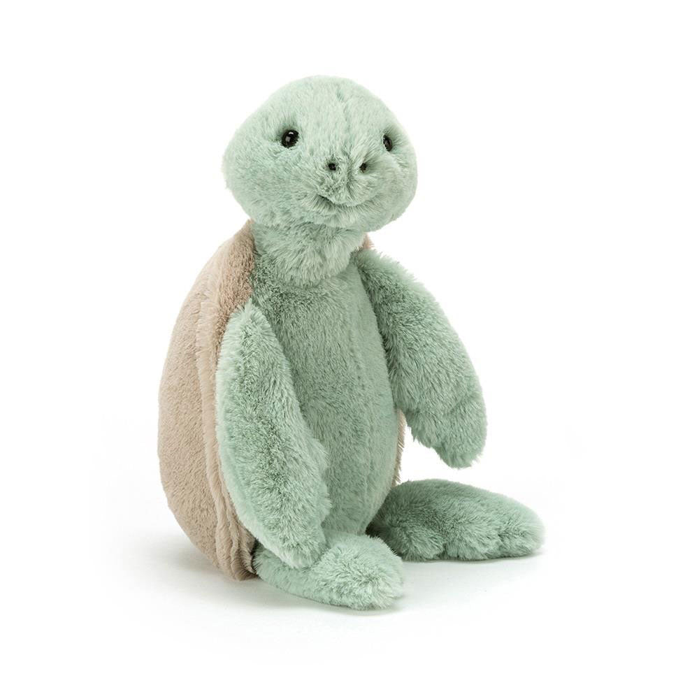 Bashful Turtle Little, Main View
